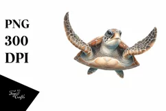Sea Turtle Marine Ocean Reptile Clipart Product Image 3