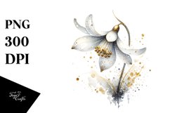 Detailed Snowdrop Product Image 1