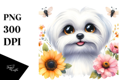Adorable Maltese Product Image 1