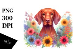 Sublimation|Clipart Product Image 1