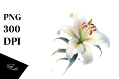 Lily with Metallic Insertions PNG Product Image 1