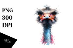 Vibrant Ostrich,White Background | Clipart Product Image 3