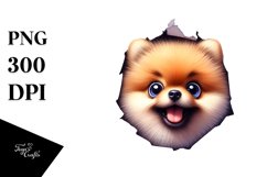 Sublimation|Clipart Product Image 1