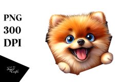 Sublimation|Clipart Product Image 1