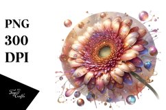 Shiny -Like Gerbera | Clipart Product Image 3