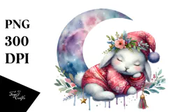 Boho Baby Bunny Sleeping on the Moon PNG Product Image 1