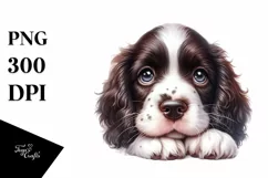 Watercolor Cute Baby Springer Spaniel Clipart Product Image 1