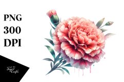 Glossy Watercolor Carnation Material Splash Product Image 3