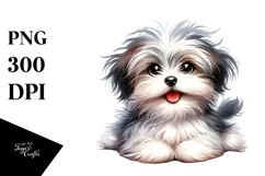 Baby Havanese with Crazy Fur, Transparent PNG Product Image 1