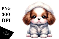 Cute Baby Brittany with Cool Haircut Product Image 1
