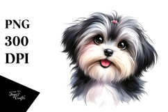 Adorable Havanese Puppy, High-Res PNG Product Image 1