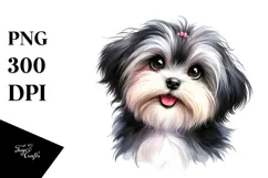 Adorable Havanese Puppy, High-Res PNG Product Image 1