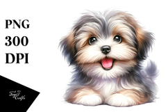 Adorable Havanese Puppy, High-Res PNG Product Image 1