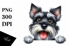 Cute Crazy Miniature Schnauzer Watercolor Clipart Product Image 1