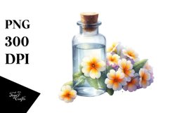 Bottle Primrose Watercolor Sublimation Clipart Product Image 1