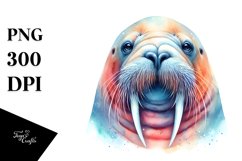 Vibrant Walrus | Clipart Product Image 3