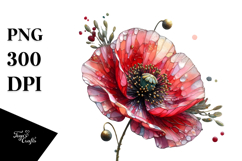 Poppy Made of with Watercolor Splash, High-Resolution PNG Product Image 1