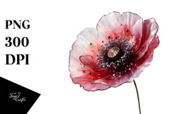 Poppy Watercolor, PNG Product Image 1