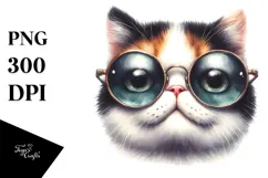 Angry Cat with Sunglasses, Transparent PNG Product Image 1