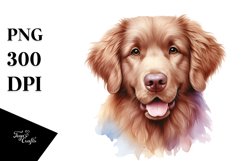 Sublimation|Clipart Product Image 3