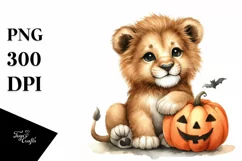 Cute Baby Lion Sitting PNG Product Image 1