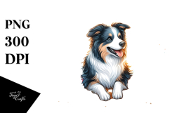 Border Collie at Sunset Beach | Clipart Product Image 1