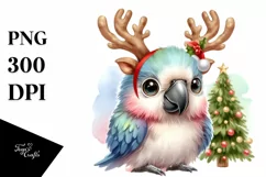 Expressive Baby Christmas Macaw PNG Product Image 1
