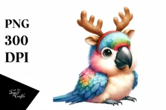 Expressive Baby Christmas Macaw PNG Product Image 1