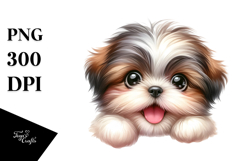 Happy Shih Tzu with Crazy Fur Product Image 1