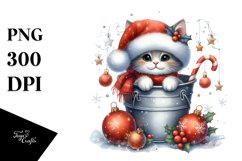 Cute Highland Baby Cat in Bucket, PNG Product Image 1