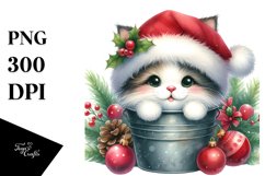 Cute Highland Baby Cat in Bucket, PNG Product Image 1