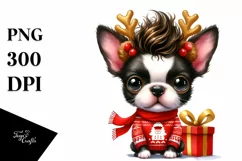 Expressive Baby Winter Boston Terrier PNG Product Image 3