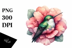 Colorful Sleeping Hummingbird in Flower | Clipart Product Image 3