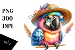 Baby Macaw with Hat and Sunglasses PNG Product Image 1
