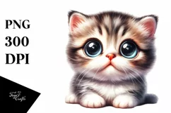 Funny Baby Cat with Huge Eyes PNG Product Image 1
