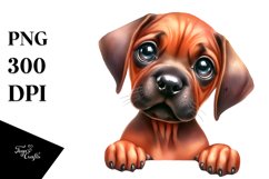 Sublimation|Clipart Product Image 3