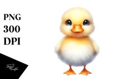 Sublimation|Clipart Product Image 1