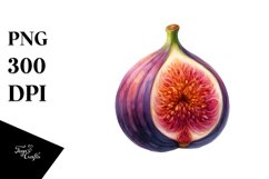 Colorful Fig | Sublimation Clipart Product Image 1