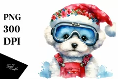 a Cute Watercolor Bichon Frise PNG Product Image 3