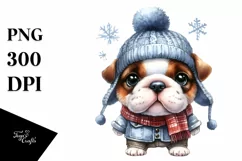 Cute Baby Bulldog PNG Product Image 1
