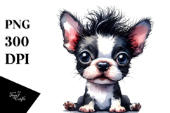 Expressive Boston Terrier, PNG Product Image 1