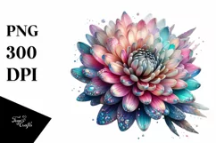 Detailed Chrysanthemum, High-Res PNG Product Image 1