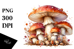 Detailed Mushroom Splash PNG Product Image 1