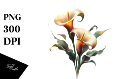 Calla Lily with Watercolor Splash PNG Product Image 1