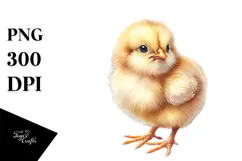 Cute Baby Chicken, Transparent PNG Product Image 1