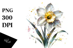 Golden Daffodil with Details, PNG Product Image 1