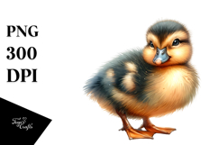 Digital Watercolor with Baby Duck PNG Product Image 1