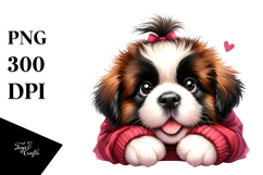 Cute Saint Bernard PNG Product Image 1