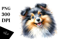 Baby Shetland Sheepdog, Transparent PNG Product Image 1