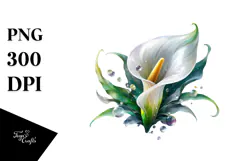 Calla Lily Watercolor Splash PNG Product Image 1